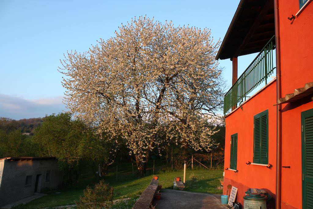 La Finestra Sul Lago Bed & Breakfast Ronciglione  Exterior photo